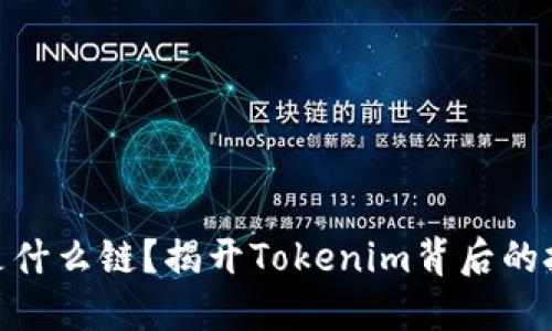 Tokenim是什么链？揭开Tokenim背后的技术与应用