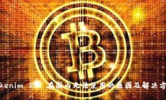 tokenim 2.0 在国内无法使用的原因及解决方案