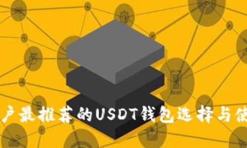 中国用户最推荐的USDT钱包选择与使用指南