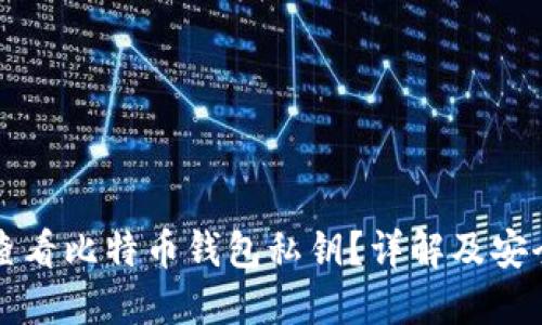 如何查看比特币钱包私钥？详解及安全指导