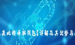 什么是比特币脑钱包？详解及其优势与风险
