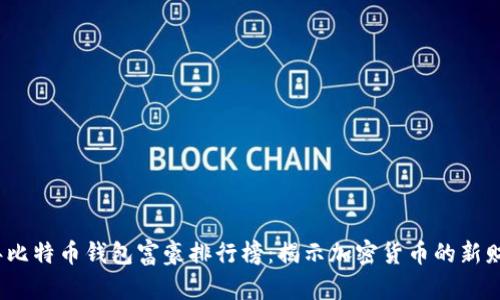 2023年比特币钱包富豪排行榜：揭示加密货币的新财富王者