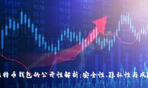 比特币钱包的公开性解析：安全性、隐私性与风险