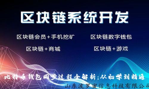 比特币钱包同步过程全解析：从初学到精通