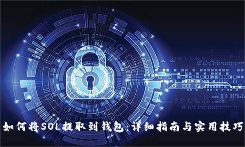 如何将SOL提取到钱包：详细指南与实用技巧
