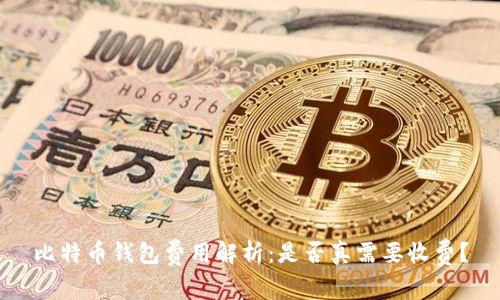 比特币钱包费用解析：是否真需要收费？