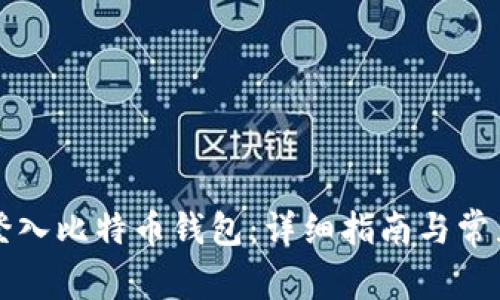 如何顺利登入比特币钱包：详细指南与常见问题解析