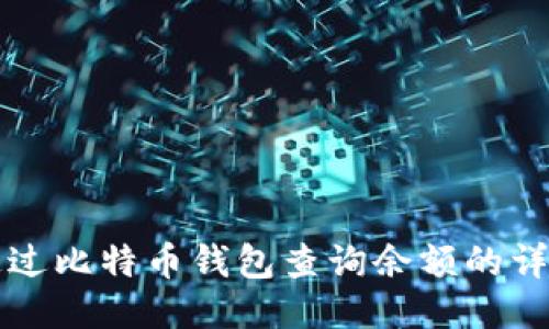 如何通过比特币钱包查询余额的详细指南