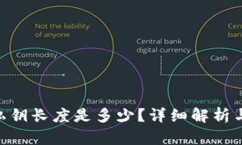 tokenim私钥长度是多少？详细解析与最佳实践