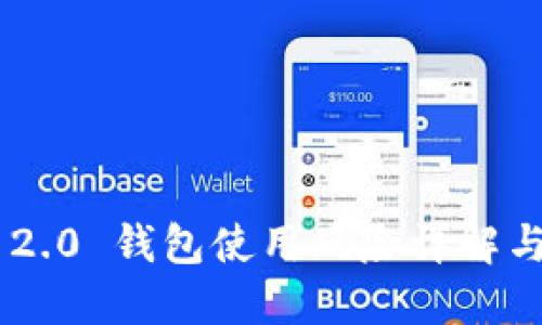 Tokenim 2.0 钱包使用风险详解与应对策略