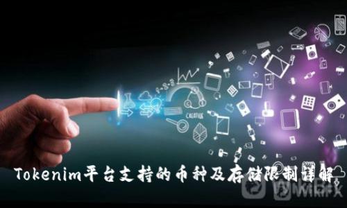 Tokenim平台支持的币种及存储限制详解