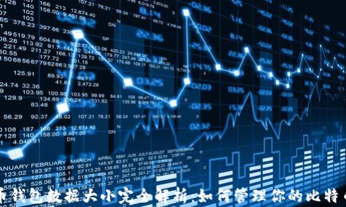 
比特币钱包数据大小完全解析：如何管理你的比特币钱包