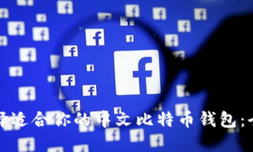 如何选择适合你的中文比特币钱包：全面指南