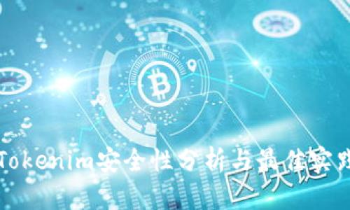 软件Tokenim安全性分析与最佳实践指南