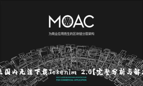 为什么国内无法下载Tokenim 2.0？完整分析与解决方案