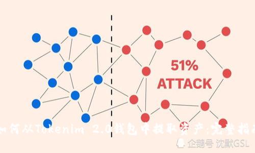 如何从Tokenim 2.0钱包中提取资产：完整指南