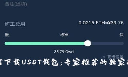 如何下载USDT钱包：专家推荐的独家秘诀