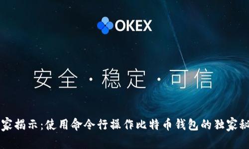 专家揭示：使用命令行操作比特币钱包的独家秘诀