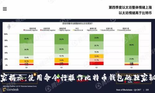 专家揭示：使用命令行操作比特币钱包的独家秘诀