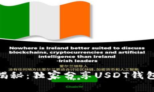 USDT钱包的专家揭秘：独家分享USDT钱包使用的五大缺点！