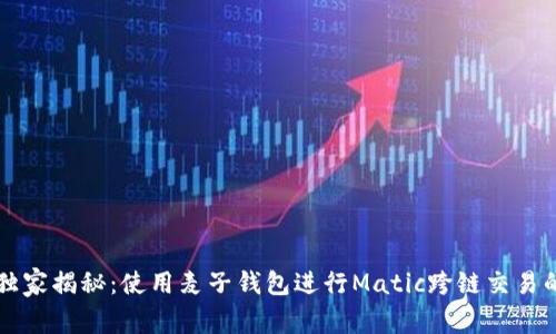 专家独家揭秘：使用麦子钱包进行Matic跨链交易的秘诀