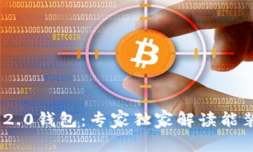 揭秘Tokenim 2.0钱包：专家独家解读能装哪些币的秘诀