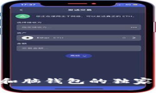 专家揭秘：比特币纸钱包和脑钱包的独家秘诀，保护你的数字资产！