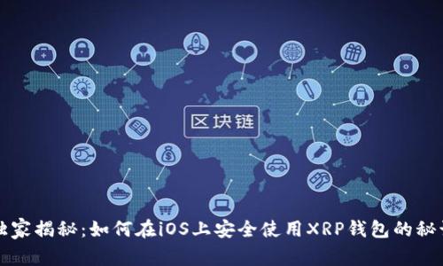 独家揭秘：如何在iOS上安全使用XRP钱包的秘诀