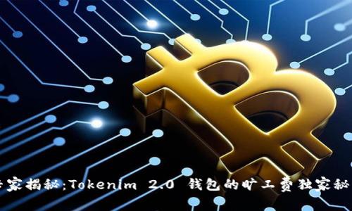 专家揭秘：Tokenim 2.0 钱包的旷工费独家秘诀
