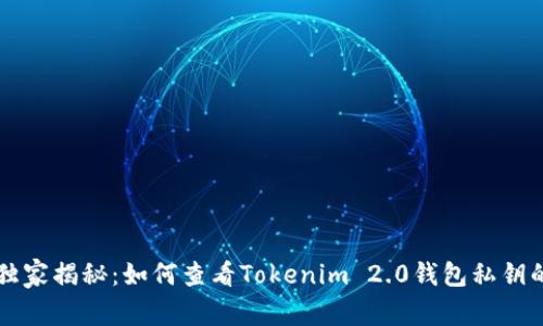 专家独家揭秘：如何查看Tokenim 2.0钱包私钥的秘诀