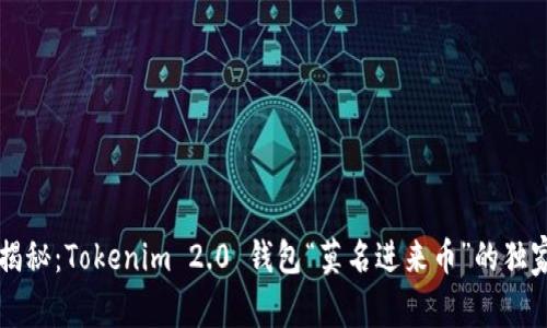 专家揭秘：Tokenim 2.0 钱包“莫名进来币”的独家秘诀