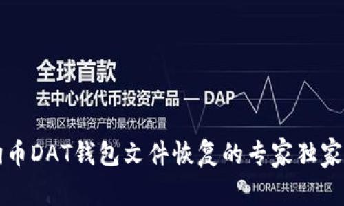 狗狗币DAT钱包文件恢复的专家独家秘诀