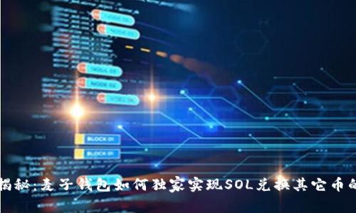 专家揭秘：麦子钱包如何独家实现SOL兑换其它币的秘诀