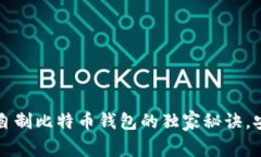 专家揭秘：自制比特币钱包的独家秘诀，安全又