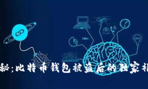 专家揭秘：比特币钱包被盗后的独家补救秘诀