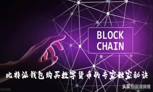 比特派钱包购买数字货币的专家独家秘诀