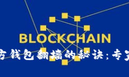 比特币官方钱包翻墙的秘诀：专家独家解读