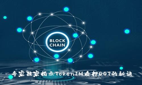 专家独家揭示TokenIM质押DOT的秘诀