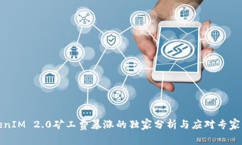 TokenIM 2.0矿工费暴涨的独家分析与应对专家秘诀