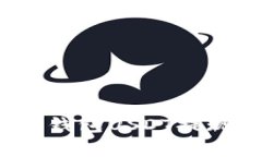 专家揭秘：TP钱包USDT提现的独家秘诀