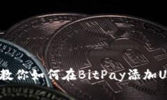 独家揭秘：专家教你如何在BitPay添加USDT钱包的秘