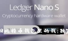专家教你如何找回比特币钱包里的钱：独家秘诀