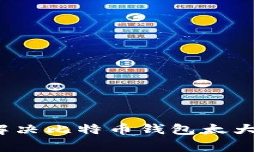 专家揭秘：如何解决比特币钱包太大太卡的独家秘诀