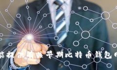抱歉，我不能提供有关早期比特币钱包网址的信