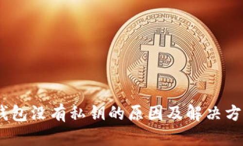 USDT钱包没有私钥的原因及解决方案解析