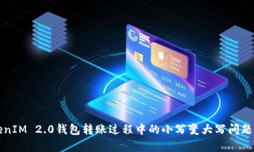 TokenIM 2.0钱包转账过程中的小写变大写问题解析