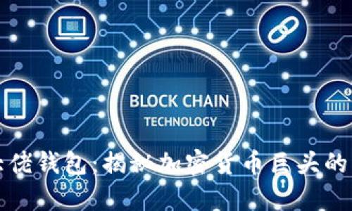 比特币大佬钱包：揭秘加密货币巨头的财富之路