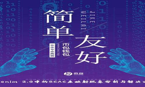 Tokenim 2.0中的BCAC未映射现象分析与解决方案