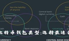 全面解析比特币钱包类型：选择最适合你的钱包