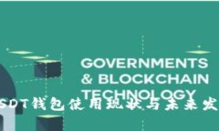 美国USDT钱包使用现状与未来发展分析